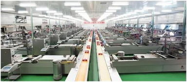 从辣条到影像 卫龙的成功之道与摄影扩印服务的启示