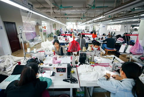 SHEIN为何能如此迅速？探索其速度背后的摄影扩印服务
